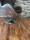 Büro Sessel Cocktailsessel Lounge Sessel Clubsessel Esszimmerstuhl Leder Sessel