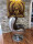 Büro Sessel Cocktailsessel Lounge Sessel Clubsessel Esszimmerstuhl Leder Sessel